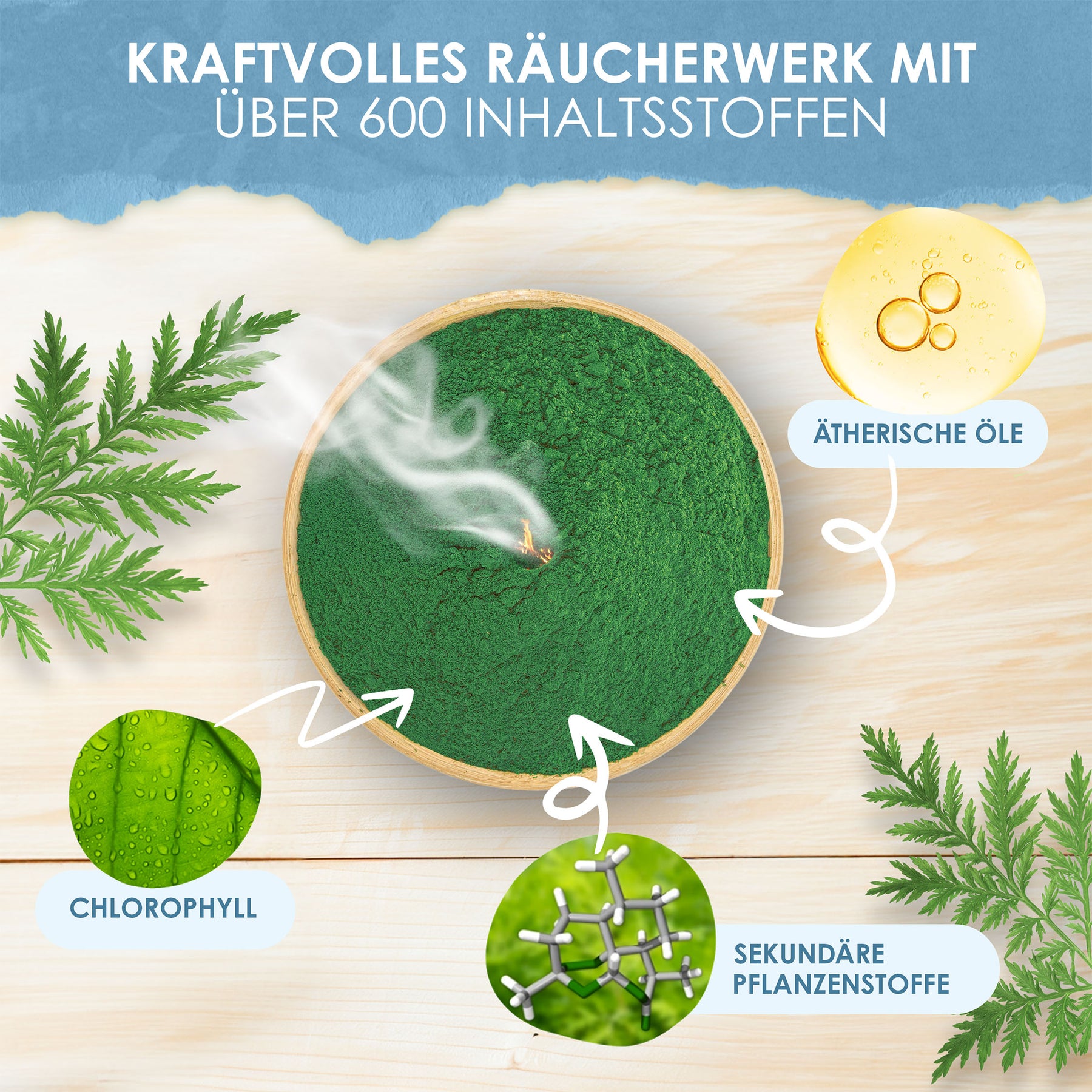 Artemisia annua leaf powder