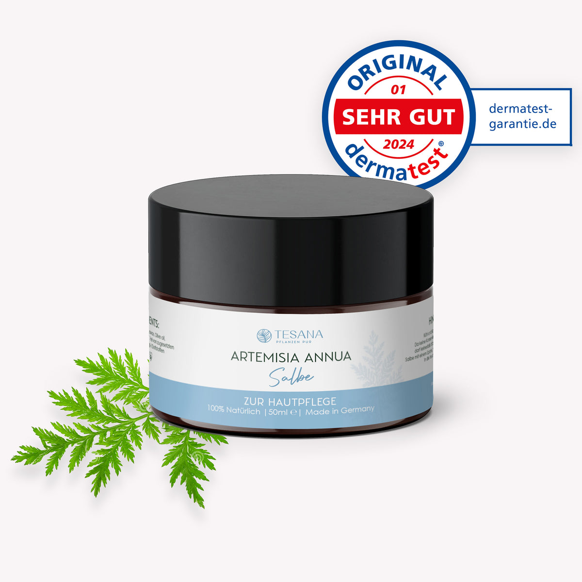 Artemisia annua Salbe