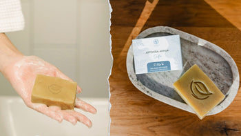 Naturseife mit Blattprägung liegt in einer Seifenschale aus Stein neben einer Produktverpackung mit der Aufschrift ‚Artemisia Annua Anamed A-3 Seife – Für Hände und Körper‘ auf einem Holzuntergrund.