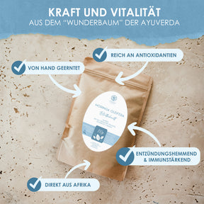 Moringa oleifera Blattschnitt