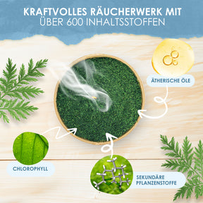 Artemisia annua Blattschnitt