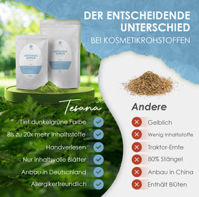 Artemisia annua Blattschnitt