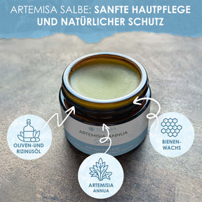 Artemisia annua Salbe