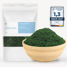 Artemisia annua leaf cutting