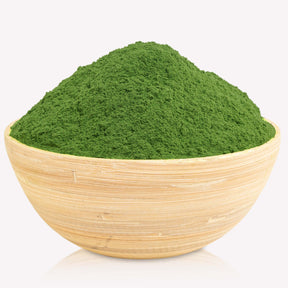 Moringa oleifera Blattpulver